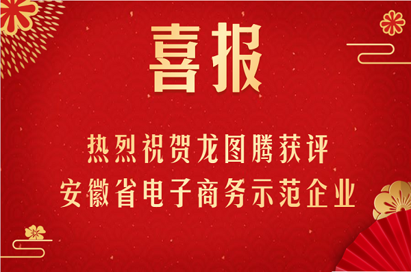 喜报频传！龙图腾再添省级名片，荣获安徽省电子商务示范企业